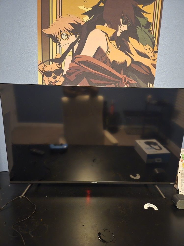 Hisense Roku 43" TV