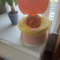 A Pink Potty Chair For A Little Girl
