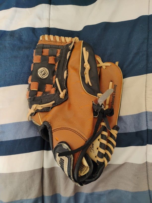 Baseball Glove