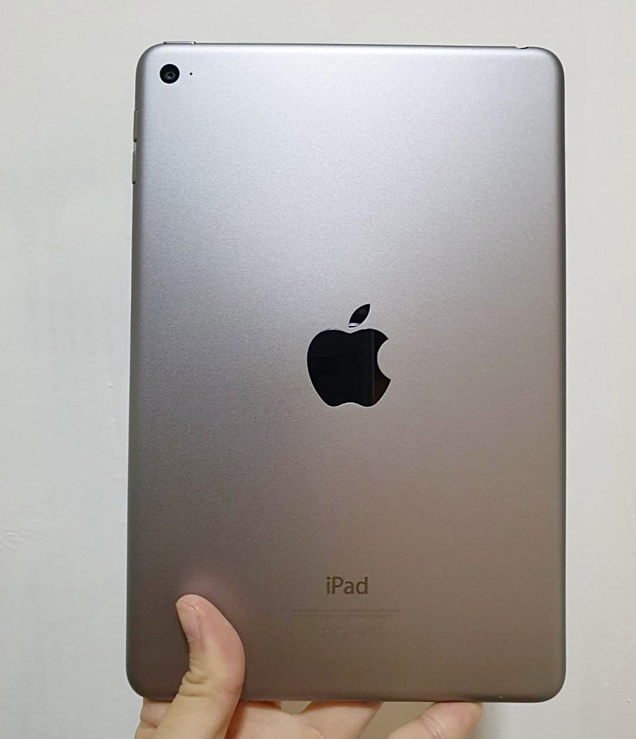 iPad Mini 4 (iOS 15)