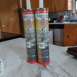 Dicor Self Leveling Lap Sealant 