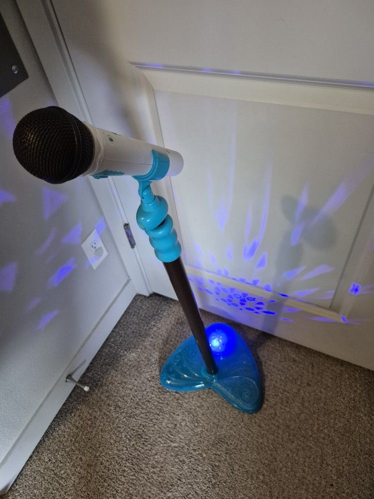 Microphone And Light Up Stand