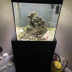 20 Gallon tank 