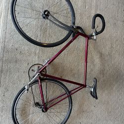 Single Speed Road Bike XL Frame, Custom Built