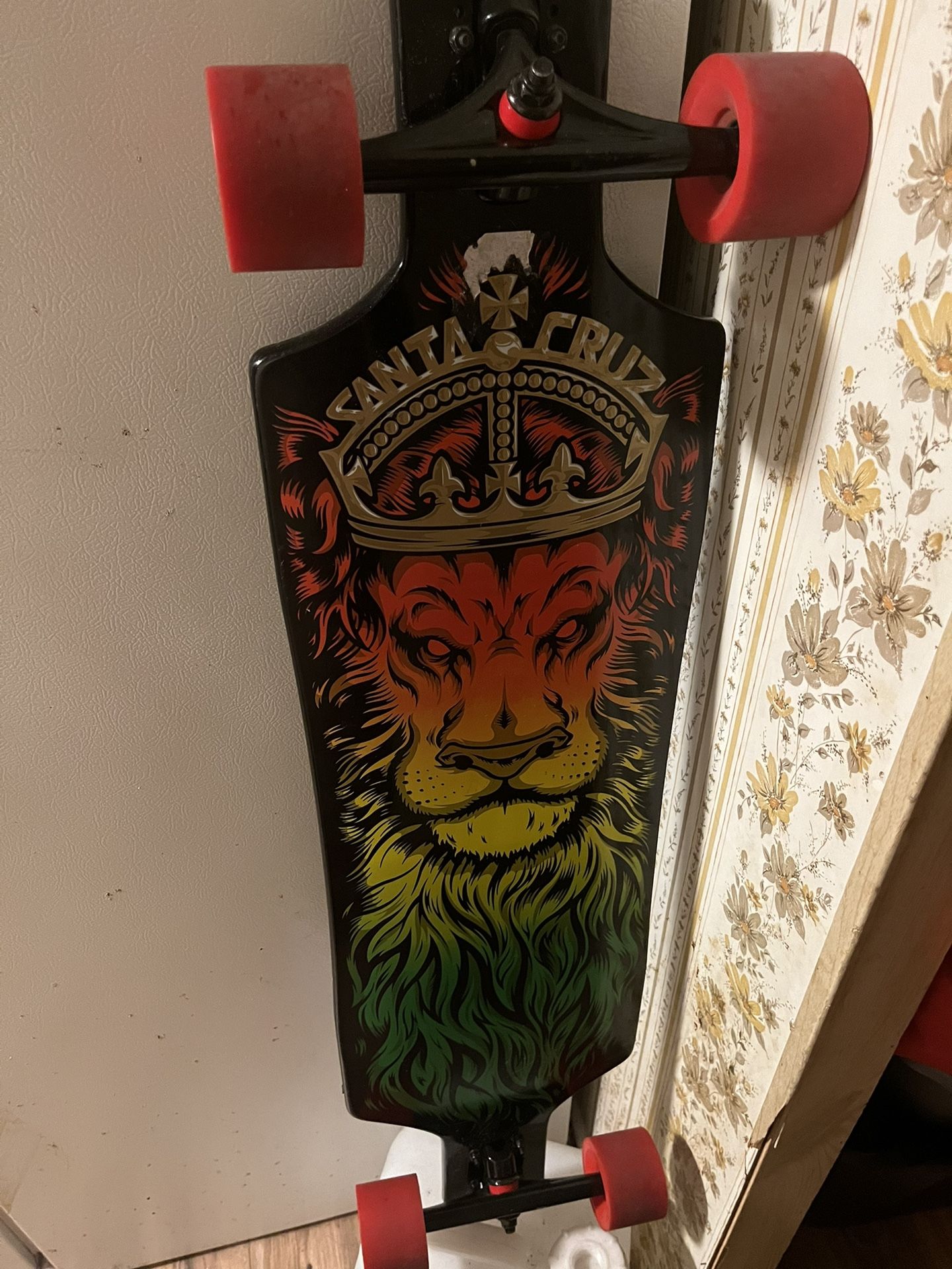 Long Boar Santa Cruz