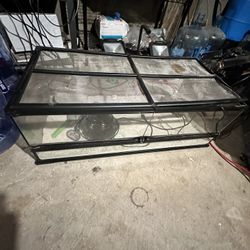Lizard Cage 