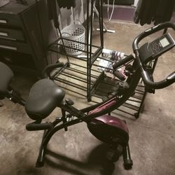 Bicicleta Estática Plegable 