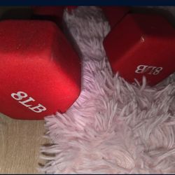 8 lb weights 2