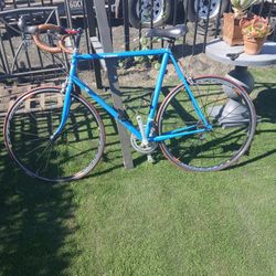 Trek Bicycle 