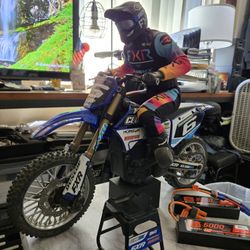 1/4 Scale Losi Promoto-Club MX Brushless Motorcycle Dirt Bike RTR