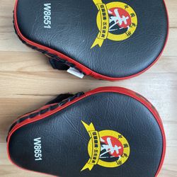 Boxing Focus Mitts For Kids