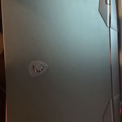 Msi GE66 Raider 