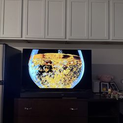 LG OLED TV C1 Series 48inch