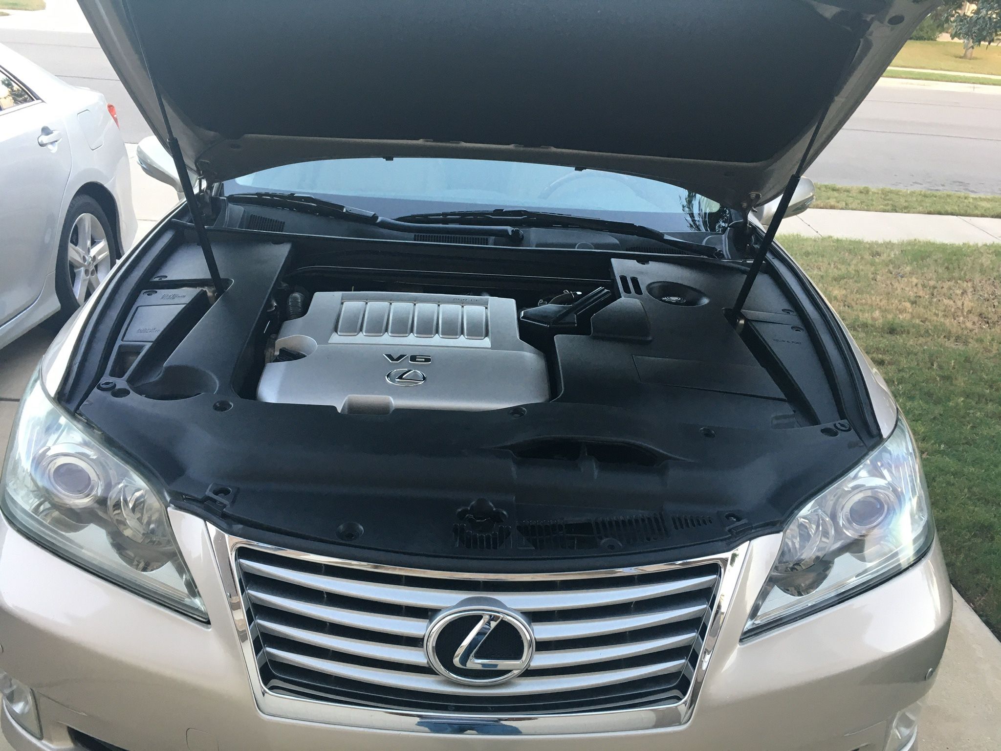 2010-12 Lexus ES 350 Front Bumper Cover With Grille And Chrome Trim Molding OEM 