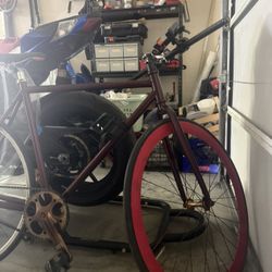 Fix Gear Bikes 