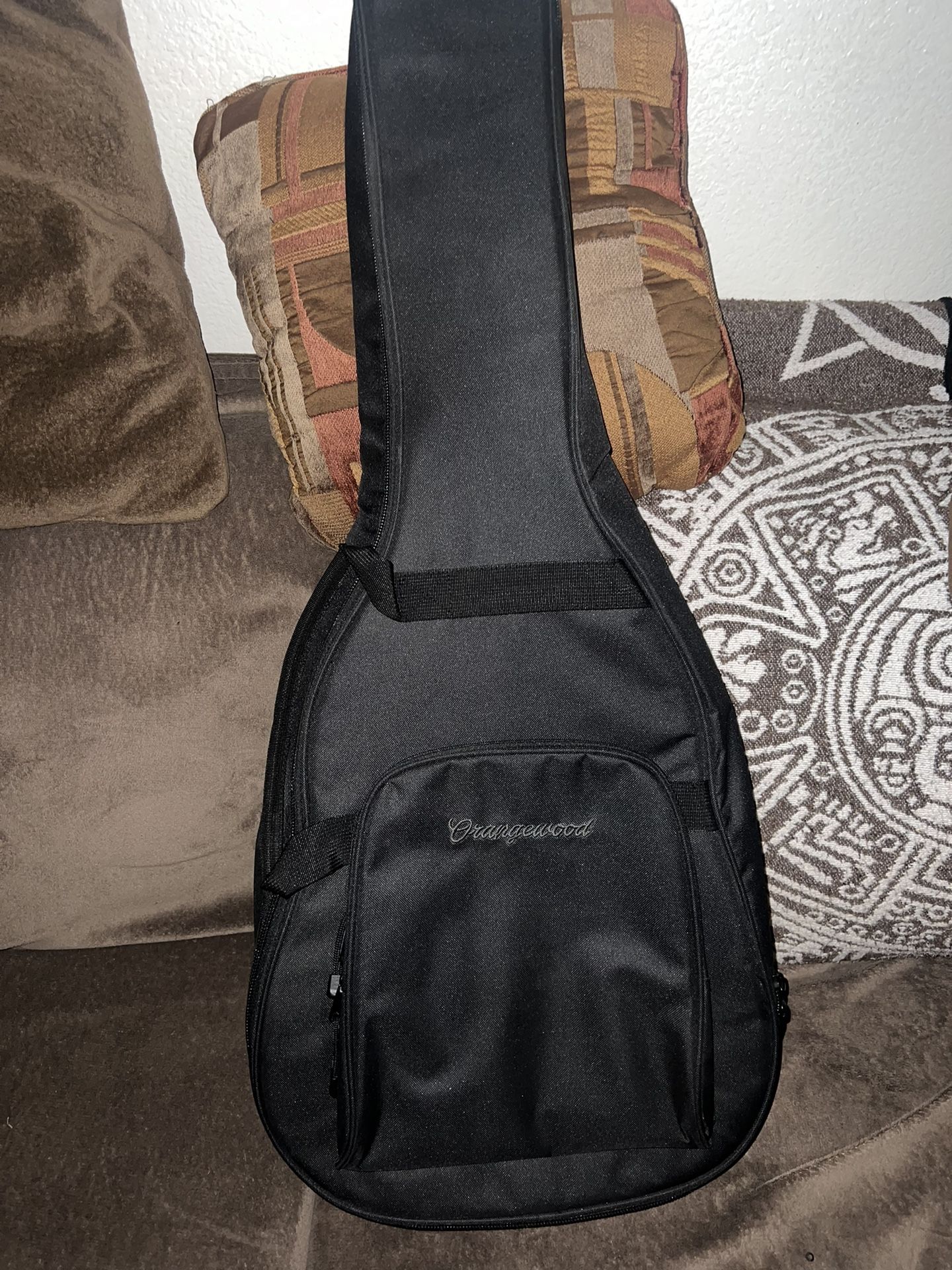 electric and acoustic guitar case.