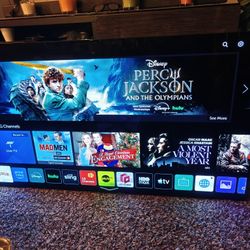 LG OLED 65-in Smart TV. 65B9PUA.  Screen BURN-IN Damage.