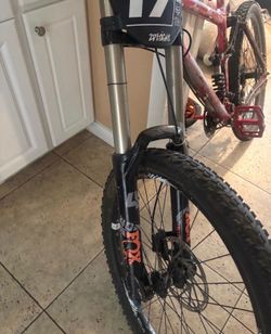 Fox 40 forks