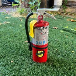 Fire extinguisher (Fire Buckeye Equipment)