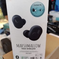 JVC Earphones
