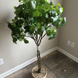 tree, decor, flower, New