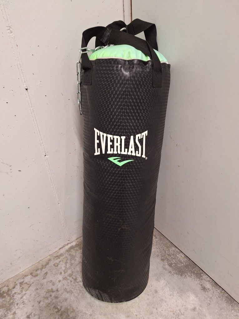 Everlast Punching Bag