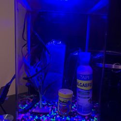 Glow Fish Tank