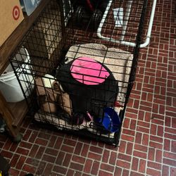 Dog Cage