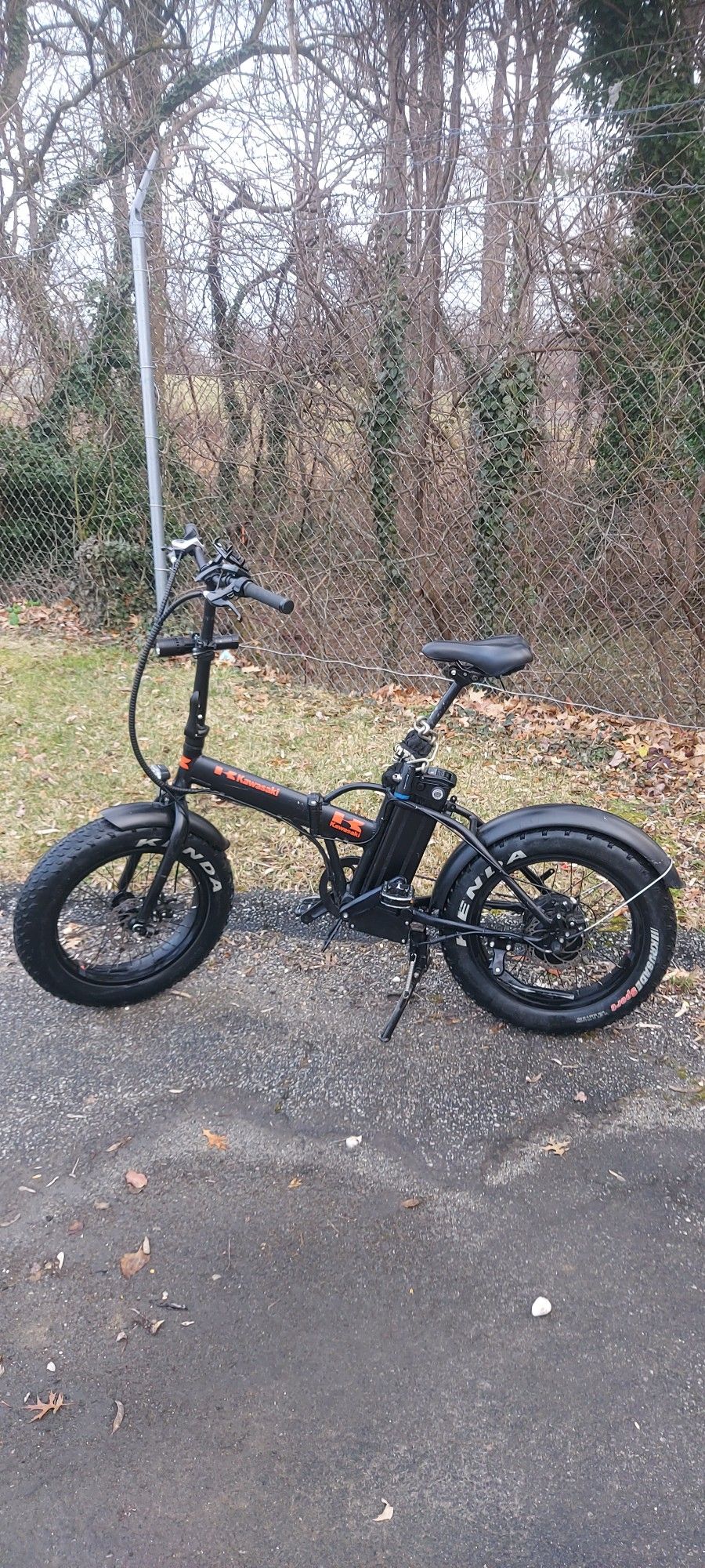 Kawasaki Ebike