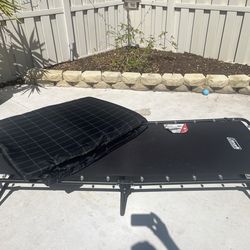 Coleman cot  brand new