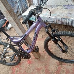 24 Mongoose Mountain Bike