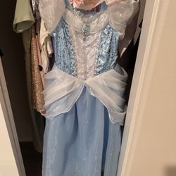 Disney Cinderella Dress