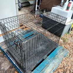 Dog Create Metal With Top