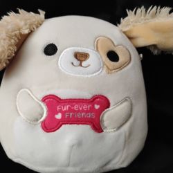 Harrison The Cocker Spaniel Squishmallow 