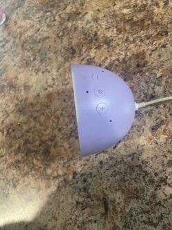 Purple echo dot