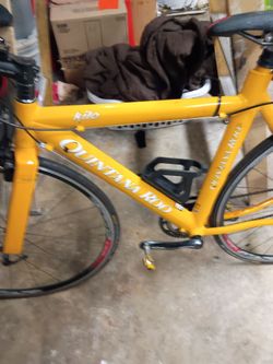 Quintana Roo Kilo triathlon bike