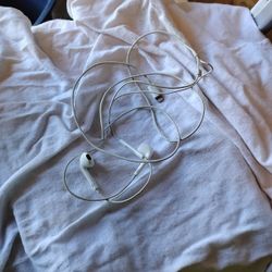 Apple Earbuds 