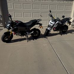 Honda Grom Clone Motorcycles 