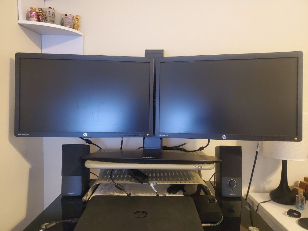 Dual monitors