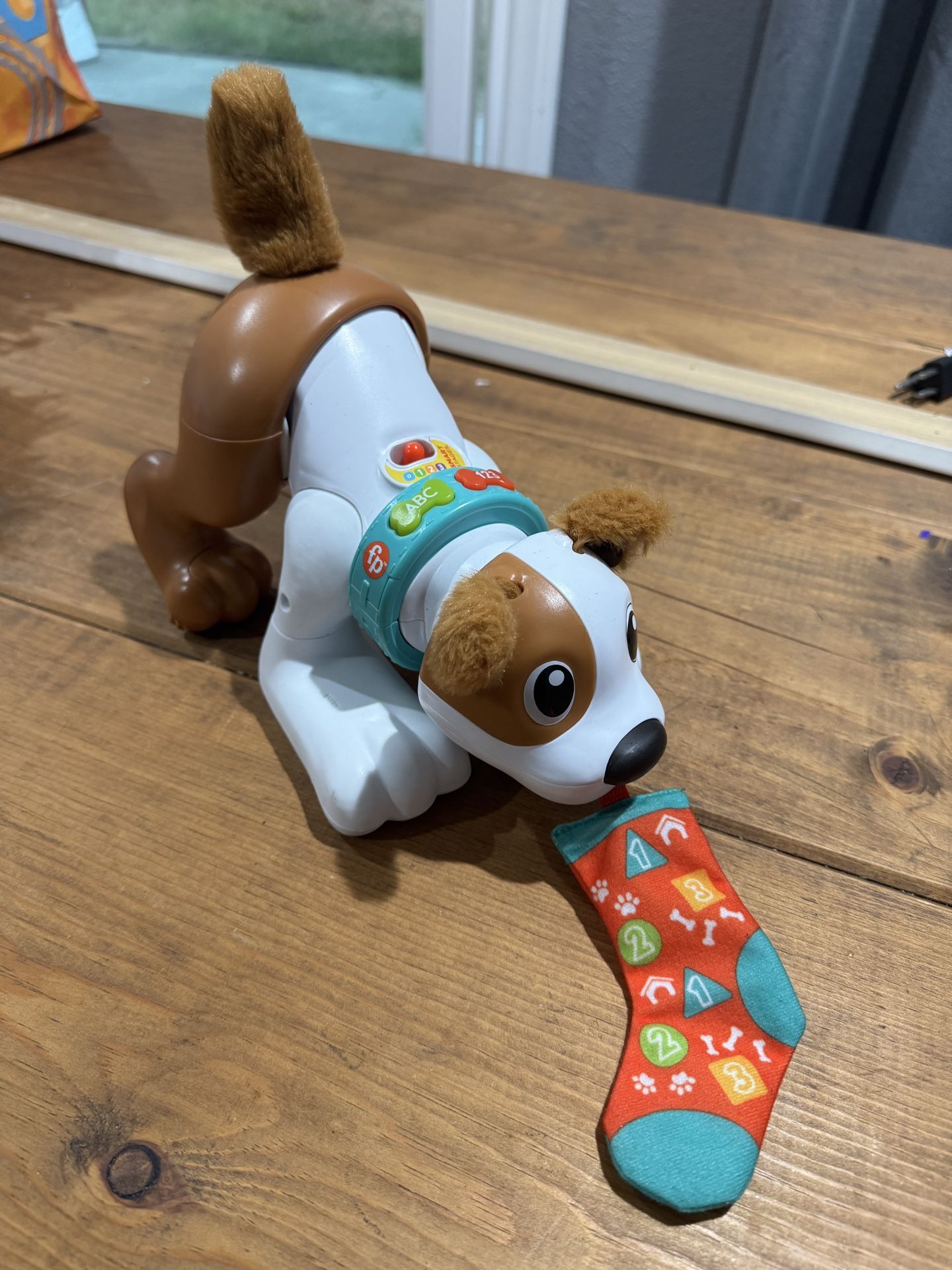 Dog Learning Toy