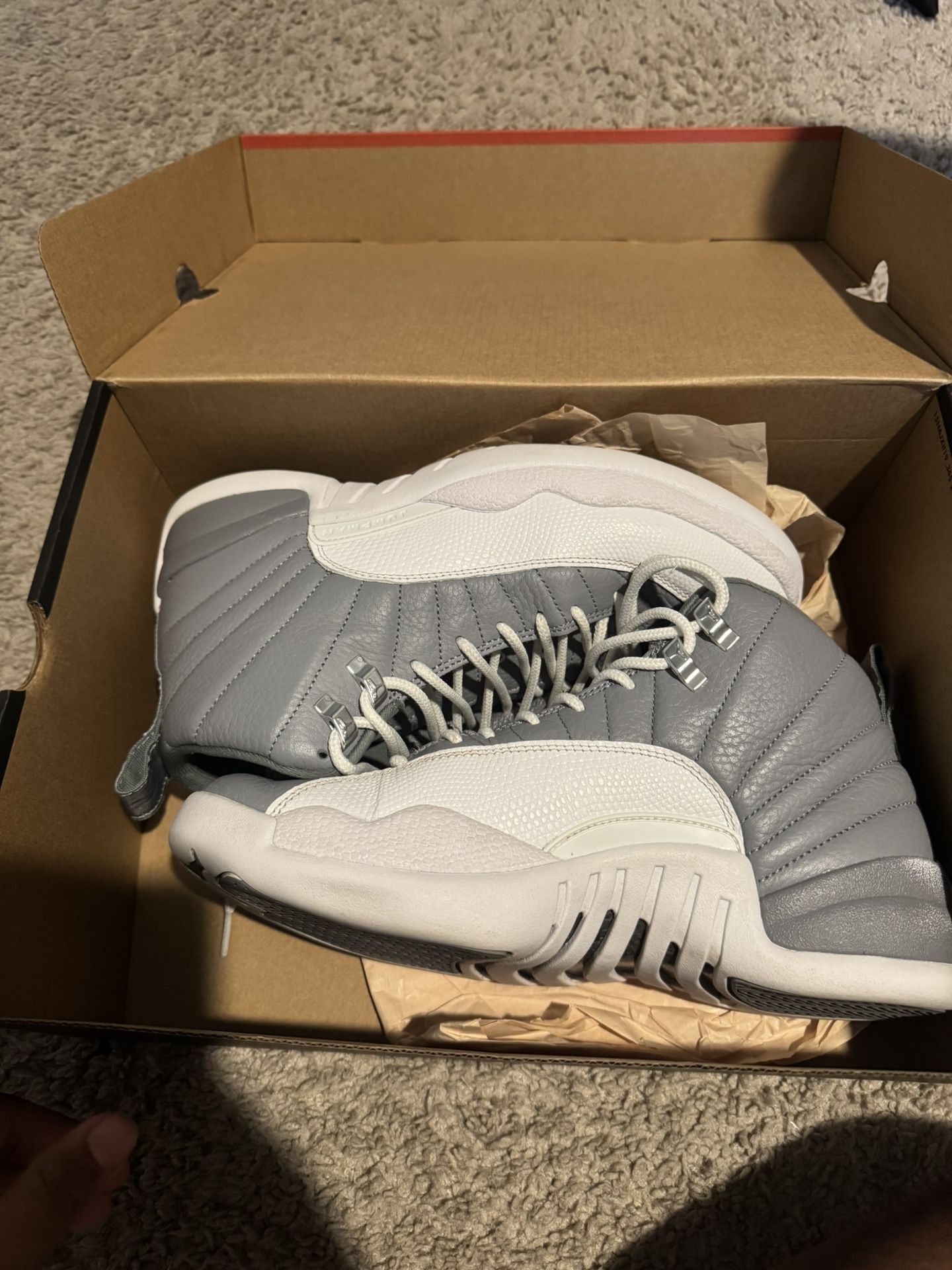 Jordan 12s