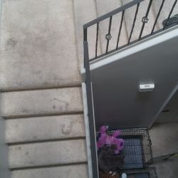 Floors,Doors,& moldings Install