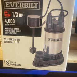 Everbilt 1/3 Stainless Steel Submersible pump 