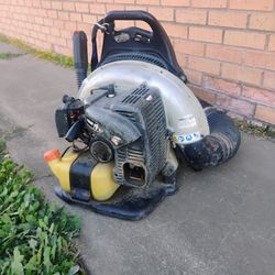 Echo Backpack Blower