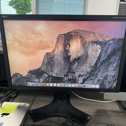 High End LCD Graphics Monitor - 25.5 inch