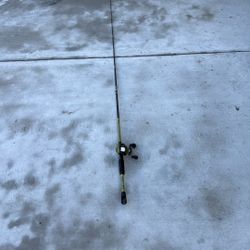 Lews Bait caster American Hero