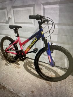 Girls Bike 20” frame