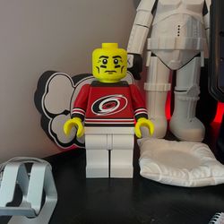 3D Printed LEGO W/ Favorite Team