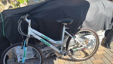 Bicicleta le falta limpiar y aire  $55