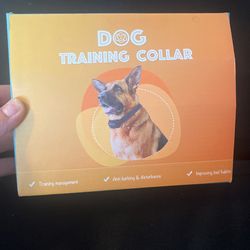 Dog Training Collars For 2 Dogs